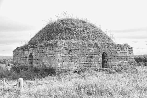 Иллюстрация к книге — Вилы [i_085.jpg]