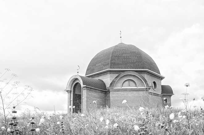 Иллюстрация к книге — Вилы [i_088.jpg]