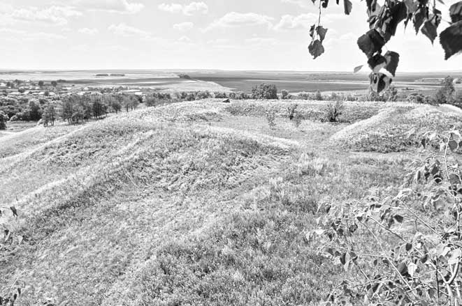 Иллюстрация к книге — Вилы [i_091.jpg]