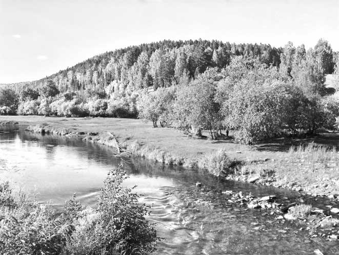 Иллюстрация к книге — Вилы [i_094.jpg]