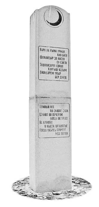 Иллюстрация к книге — Вилы [i_095.jpg]