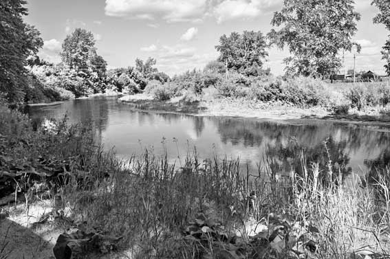 Иллюстрация к книге — Вилы [i_097.jpg]