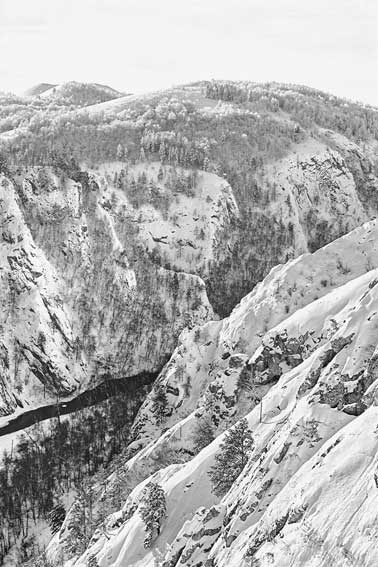 Иллюстрация к книге — Вилы [i_100.jpg]