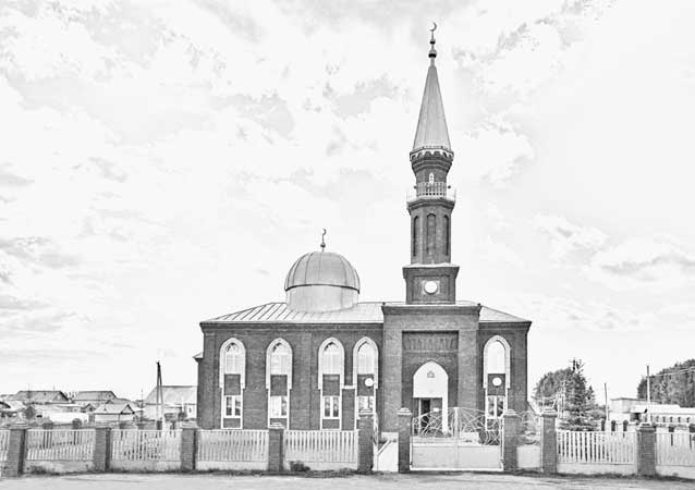 Иллюстрация к книге — Вилы [i_106.jpg]