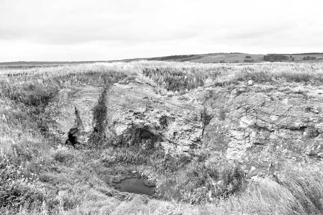 Иллюстрация к книге — Вилы [i_109.jpg]