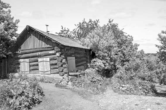 Иллюстрация к книге — Вилы [i_121.jpg]