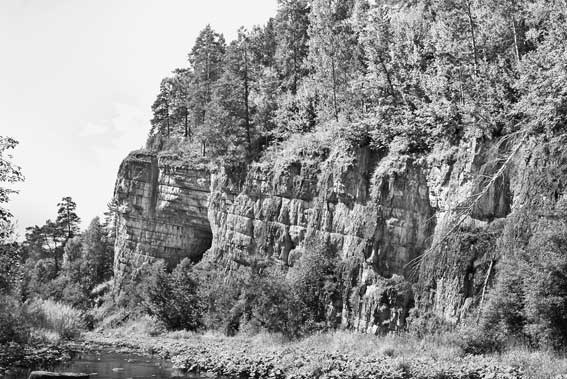 Иллюстрация к книге — Вилы [i_122.jpg]