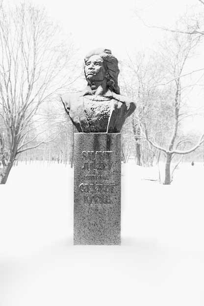 Иллюстрация к книге — Вилы [i_132.jpg]