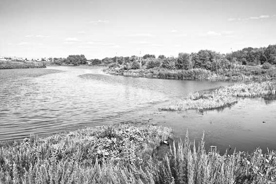 Иллюстрация к книге — Вилы [i_146.jpg]