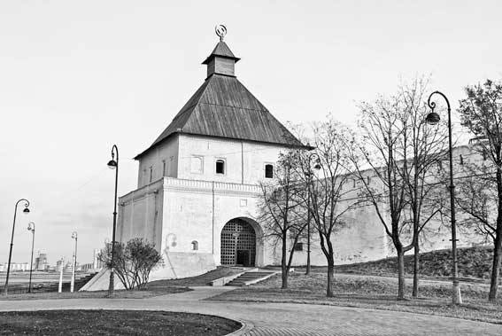 Иллюстрация к книге — Вилы [i_148.jpg]