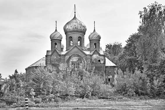 Иллюстрация к книге — Вилы [i_156.jpg]