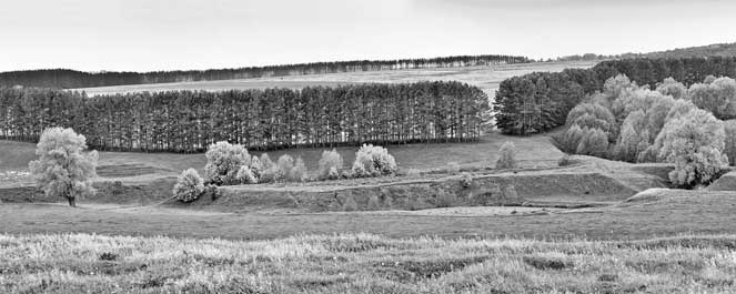 Иллюстрация к книге — Вилы [i_157.jpg]