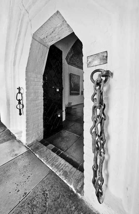 Иллюстрация к книге — Вилы [i_165.jpg]