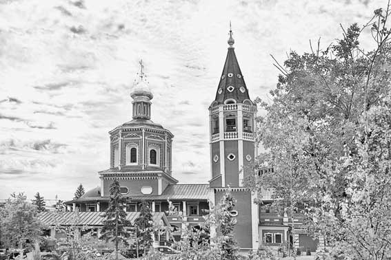 Иллюстрация к книге — Вилы [i_166.jpg]