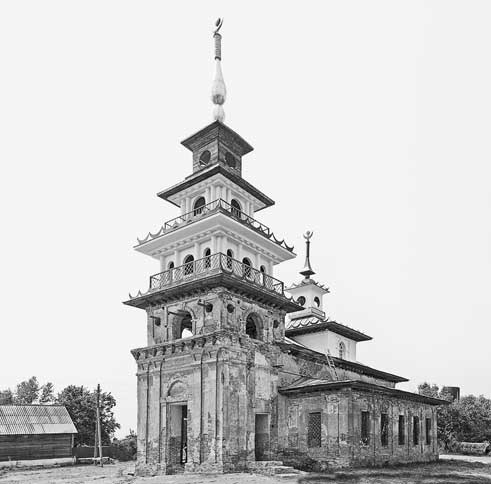 Иллюстрация к книге — Вилы [i_168.jpg]