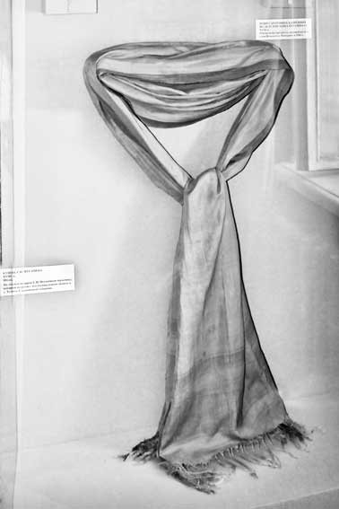 Иллюстрация к книге — Вилы [i_170.jpg]