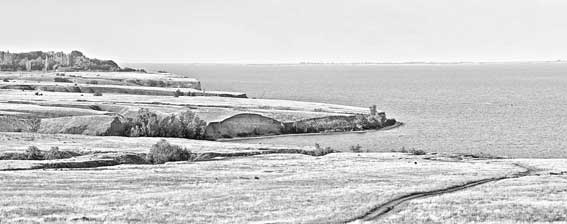 Иллюстрация к книге — Вилы [i_176.jpg]