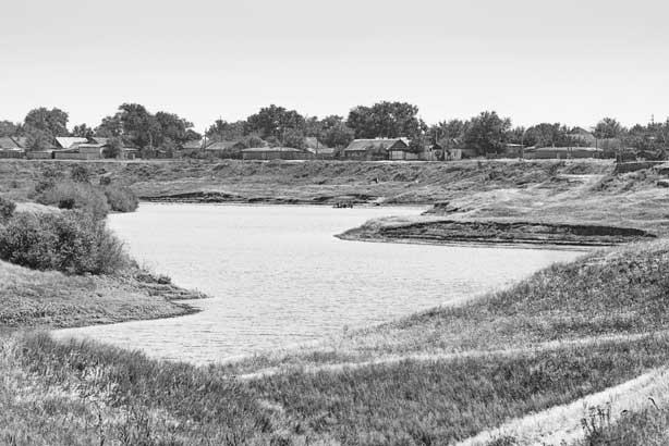 Иллюстрация к книге — Вилы [i_177.jpg]