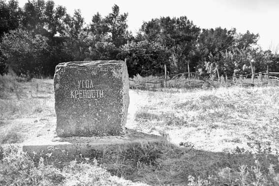 Иллюстрация к книге — Вилы [i_182.jpg]