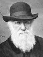 Иллюстрация к книге — Прирожденный лжец. Я или ты? [pic_1.jpg]