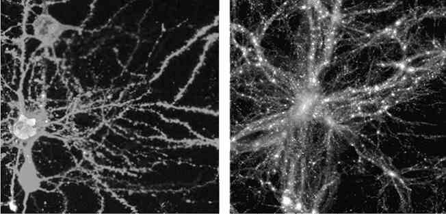 Иллюстрация к книге — 4-й рейх, или Грядущая раса Полой земли [i_003.jpg]