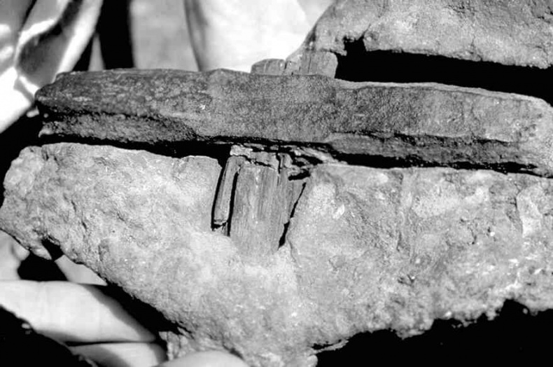 Иллюстрация к книге — 4-й рейх, или Грядущая раса Полой земли [i_005.jpg]