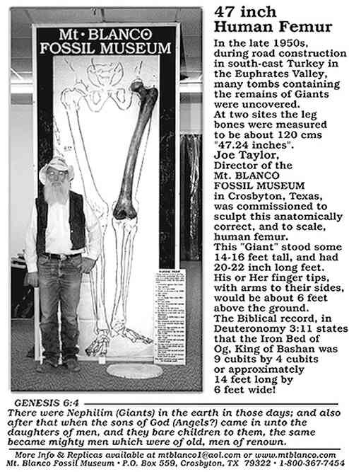 Иллюстрация к книге — 4-й рейх, или Грядущая раса Полой земли [i_010.jpg]