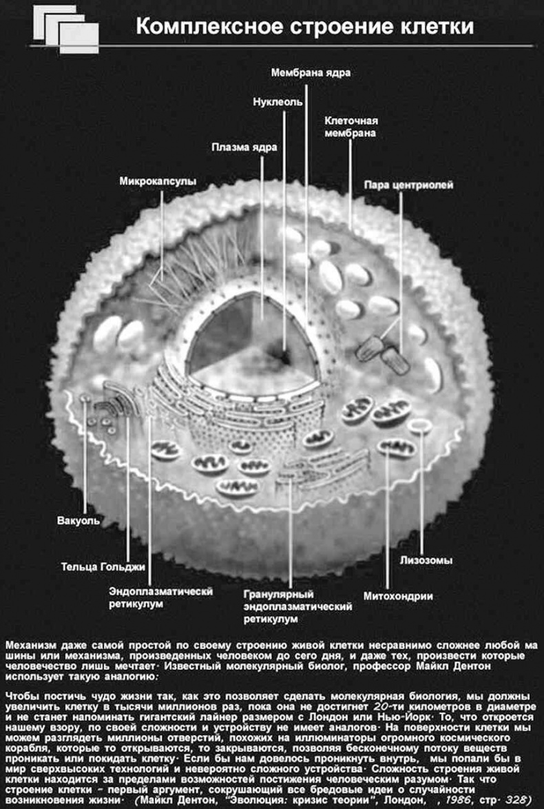 Иллюстрация к книге — 4-й рейх, или Грядущая раса Полой земли [i_036.jpg]