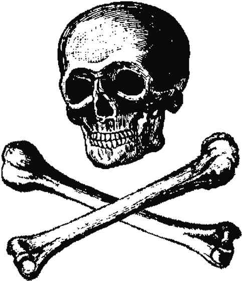 Иллюстрация к книге — 4-й рейх, или Грядущая раса Полой земли [i_047.jpg]