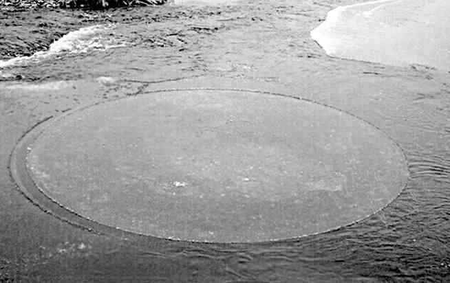 Иллюстрация к книге — 4-й рейх, или Грядущая раса Полой земли [i_073.jpg]