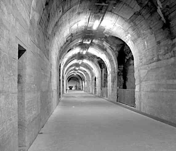 Иллюстрация к книге — 4-й рейх, или Грядущая раса Полой земли [i_114.jpg]