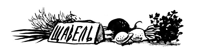 Иллюстрация к книге — Кулинарная книга оптимистки. Домашние рецепты и вкусные истории [i_048.jpg]