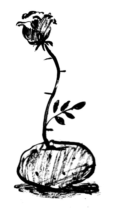 Иллюстрация к книге — Кулинарная книга оптимистки. Домашние рецепты и вкусные истории [i_053.jpg]