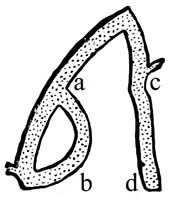 Иллюстрация к книге — Заколдованный замок. Сборник [_2.jpg]