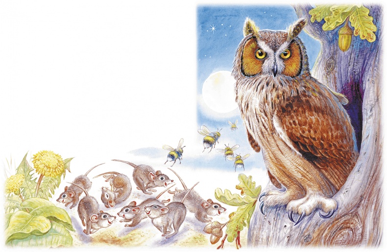 Иллюстрация к книге — Приключение Муравьишки (сборник) [i_002.jpg]