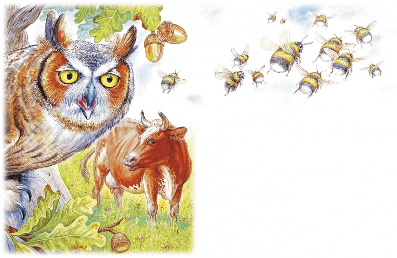 Иллюстрация к книге — Приключение Муравьишки (сборник) [i_003.jpg]