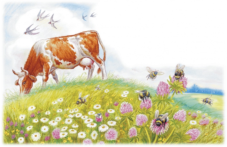 Иллюстрация к книге — Приключение Муравьишки (сборник) [i_005.jpg]