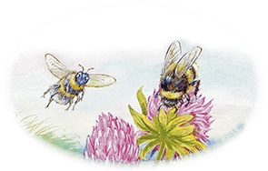 Иллюстрация к книге — Приключение Муравьишки (сборник) [i_006.jpg]