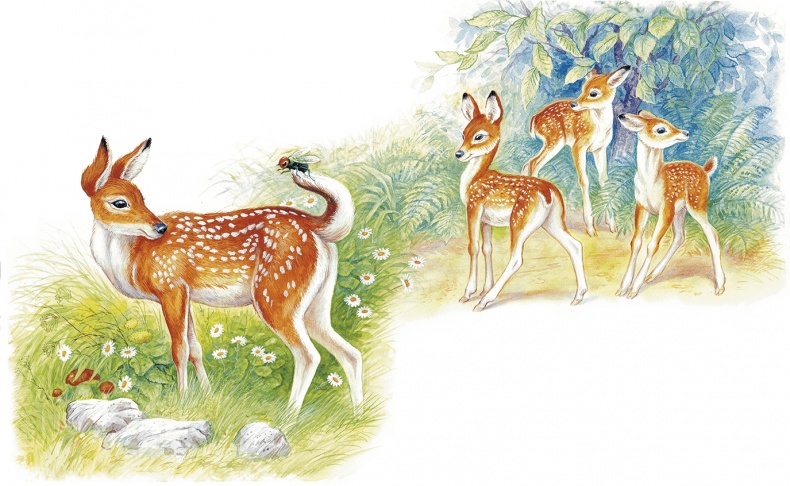 Иллюстрация к книге — Приключение Муравьишки (сборник) [i_016.jpg]