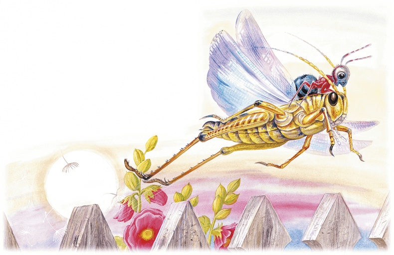 Иллюстрация к книге — Приключение Муравьишки (сборник) [i_024.jpg]