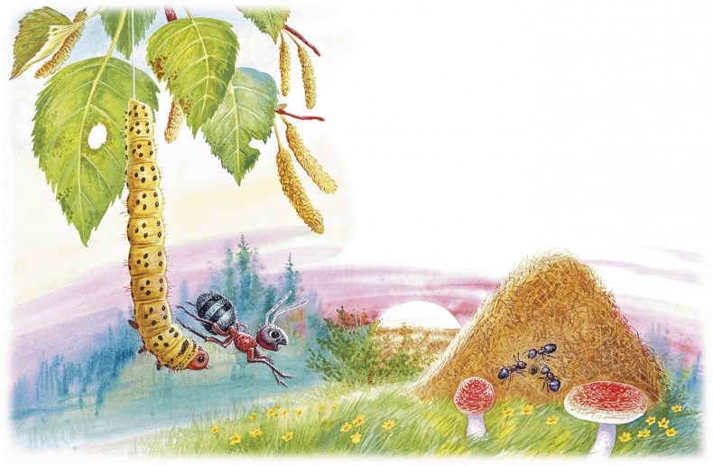 Иллюстрация к книге — Приключение Муравьишки (сборник) [i_028.jpg]