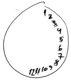 Иллюстрация к книге — Разум в огне. Месяц моего безумия [i_006.jpg]