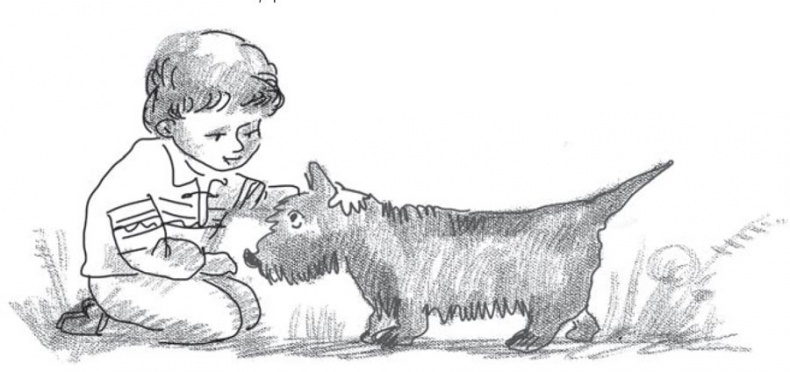 Иллюстрация к книге — Воспитание без манипулирования [i_003.jpg]