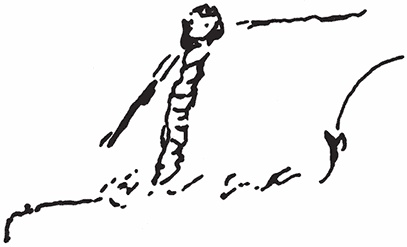 Иллюстрация к книге — Видения Коди [i_003.jpg]