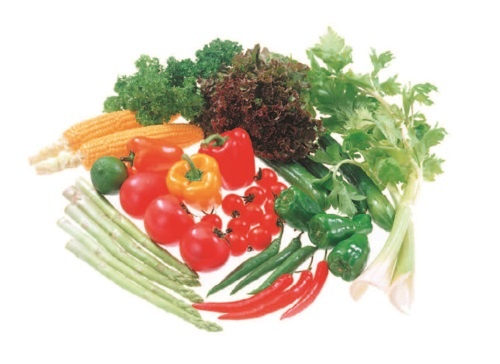 Иллюстрация к книге — 365 салатов на каждый день [i_001.jpg]