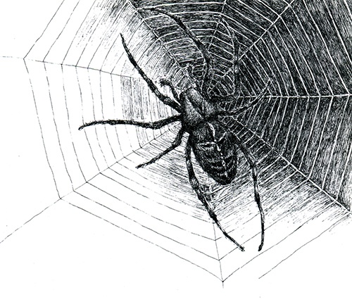 Иллюстрация к книге — Черная рука и пирамида Хеопса [i_010.jpg]