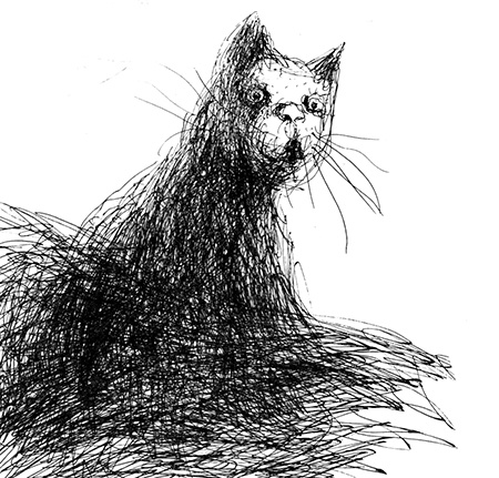 Иллюстрация к книге — Черная рука и пирамида Хеопса [i_051.jpg]