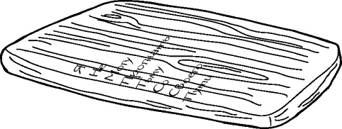 Иллюстрация к книге — Небо повсюду [_115.jpg]