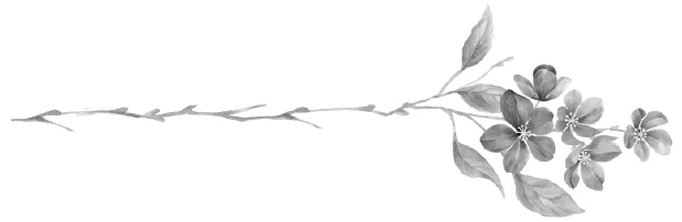 Иллюстрация к книге — Да здравствует сладкая месть! [i_001.jpg]