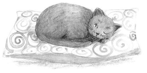 Иллюстрация к книге — Алфи. Все кувырком [i_022.jpg]